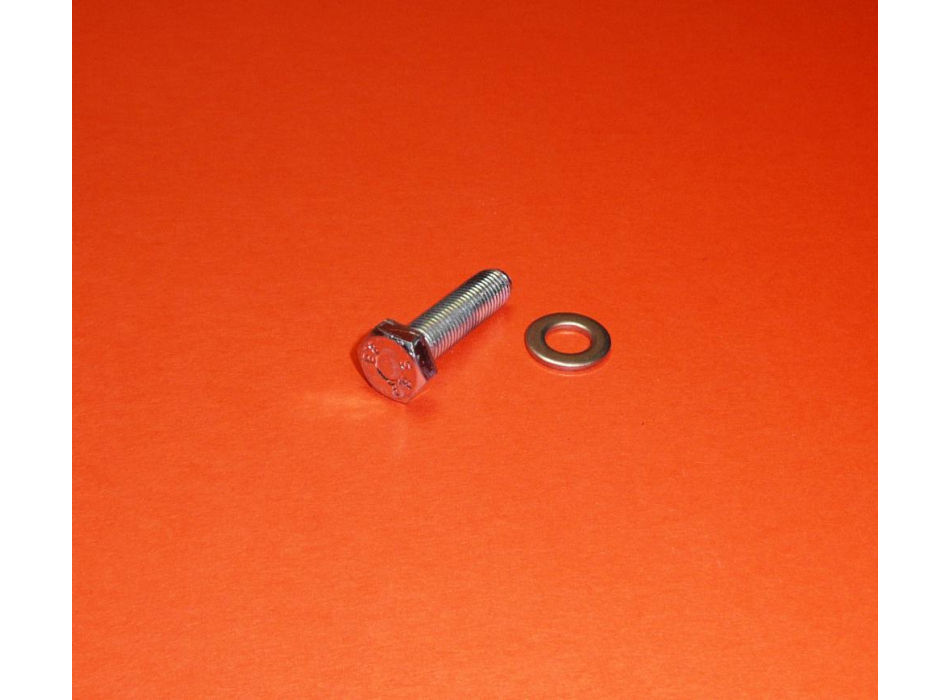 Kickstart galvanized screw 8MB for Ducati narrow and wide case models