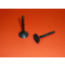 Pair of nitrided and antimagnetic valves for all Ducati wide case engine 250cc