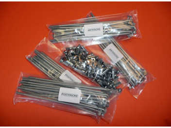 Kit Alpina spokes steel Dacromet finish 3.5 x 196 and 3.5 x 155 for Ducati RT