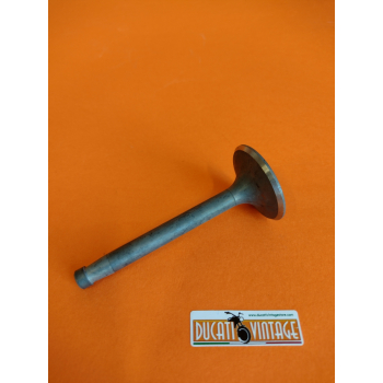 Inlet valve nitrided and antimagnetic for Ducati wide case engine 250cc